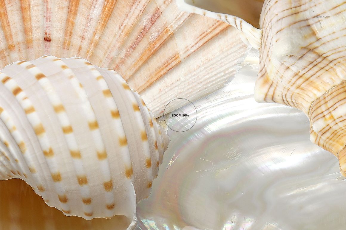 Close-up front view of a polyester throw pillow mockup featuring a realistic seashell pattern in neutral tones.