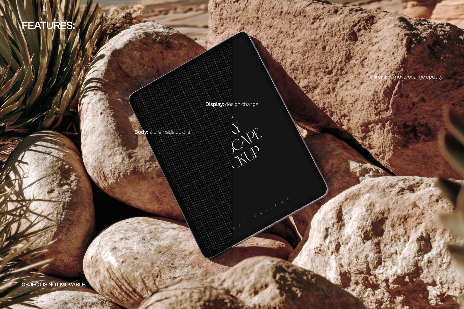 iPad mockup shown on uneven rocks, surrounded by desert plants and natural textures in a sunlit environment.