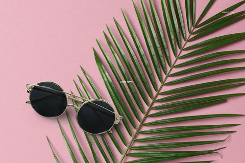 Round sunglasses with dark lenses placed next to a green palm leaf on a pastel pink background, top view.
