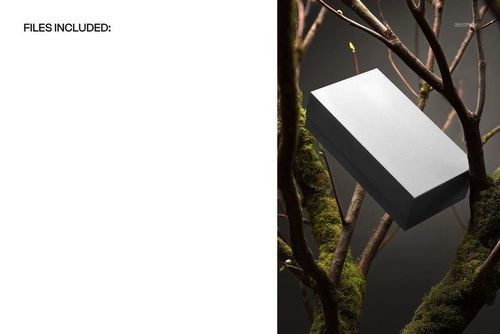 Rectangular packaging box mockup with a plain lid, displayed among moss-covered branches in a natural setting.