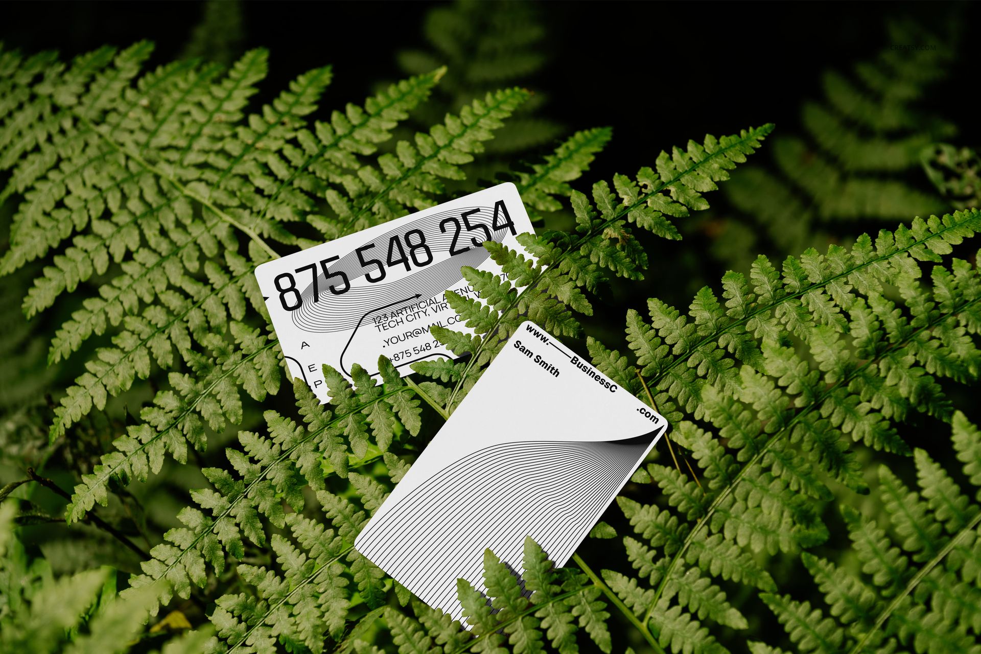 A PSD mockup displays two business cards with monochrome graphics arranged on natural green fern leaves.