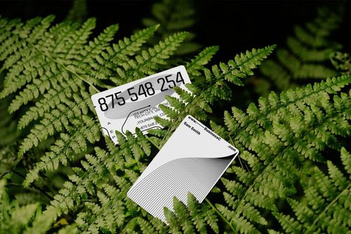 A PSD mockup displays two business cards with monochrome graphics arranged on natural green fern leaves.