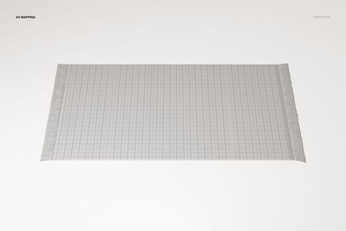 Small rectangular fringed rug with a subtle grid pattern, shown from a top view against a plain light background.