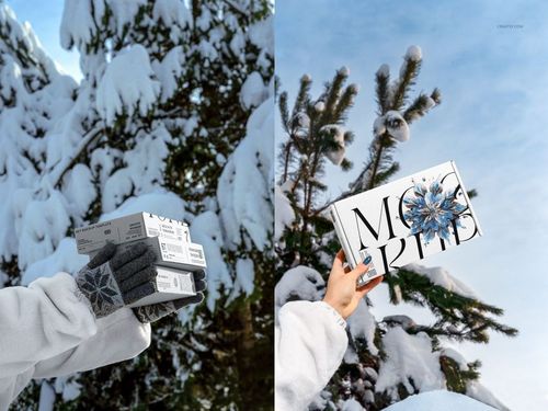 Hand holding a single winter edition mailing box mockup in front of pine branches covered with fresh snow.