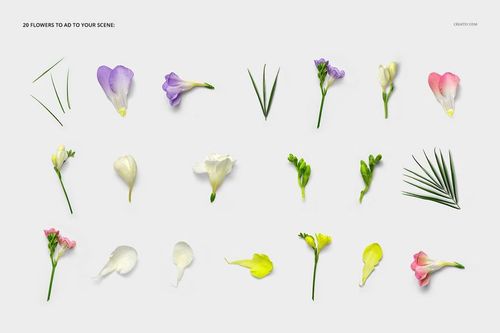 Rectangular pillow mockup set featuring assorted colorful flower petals, leaves, and blossoms on a white background.