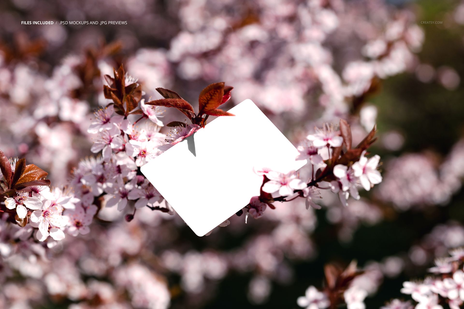 Business card mockup featuring a blank white card hanging on a branch with pink spring blossoms in the background.