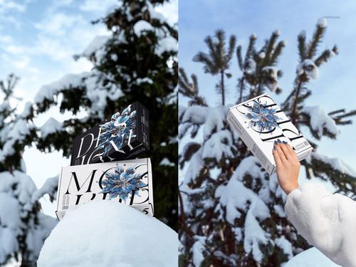 Two rectangular mailing boxes with winter-themed floral designs are shown outdoors against snow-covered pine trees.