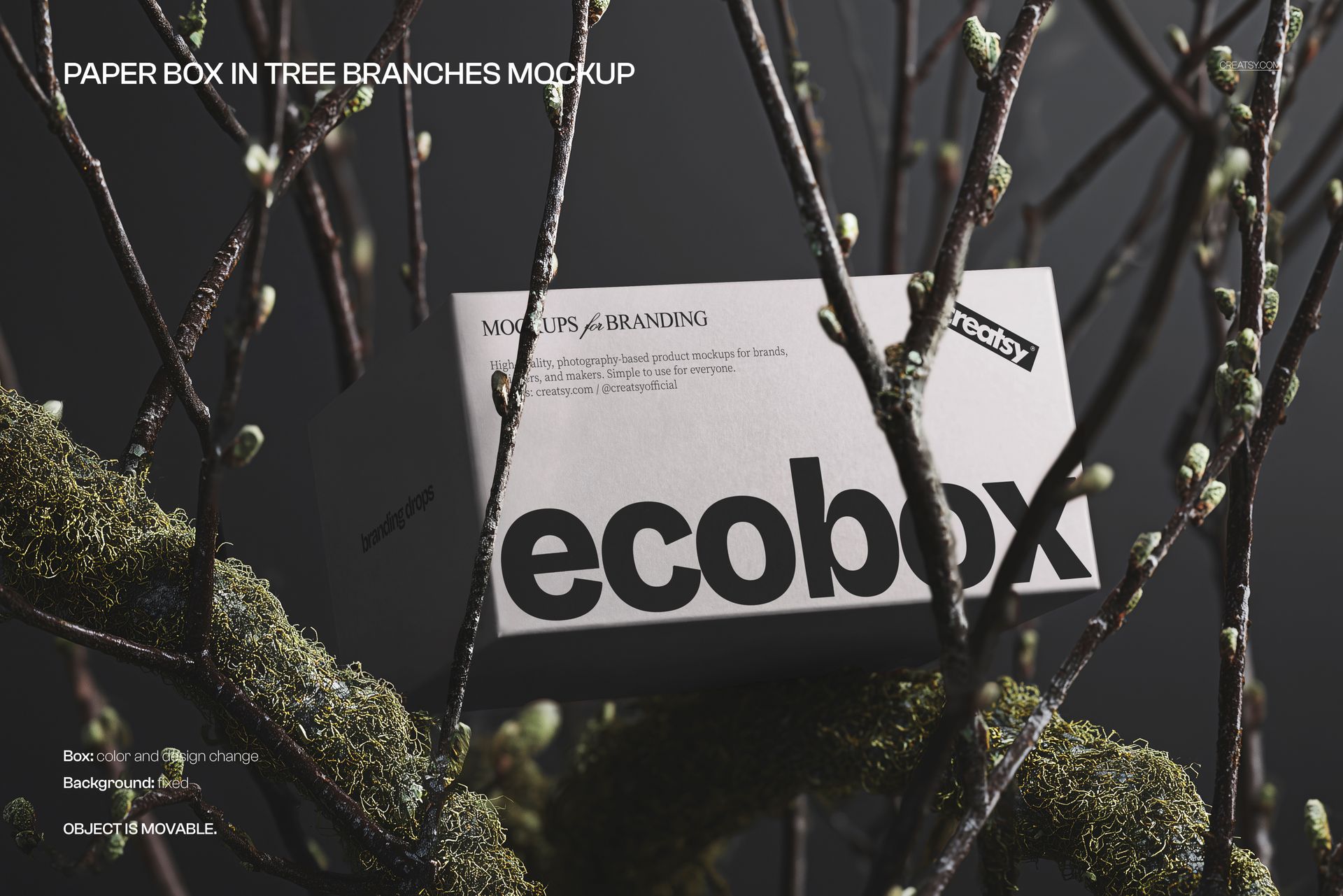 Mockup of a white rectangular box labeled 'ecobox' displayed within intertwined branches and green moss.