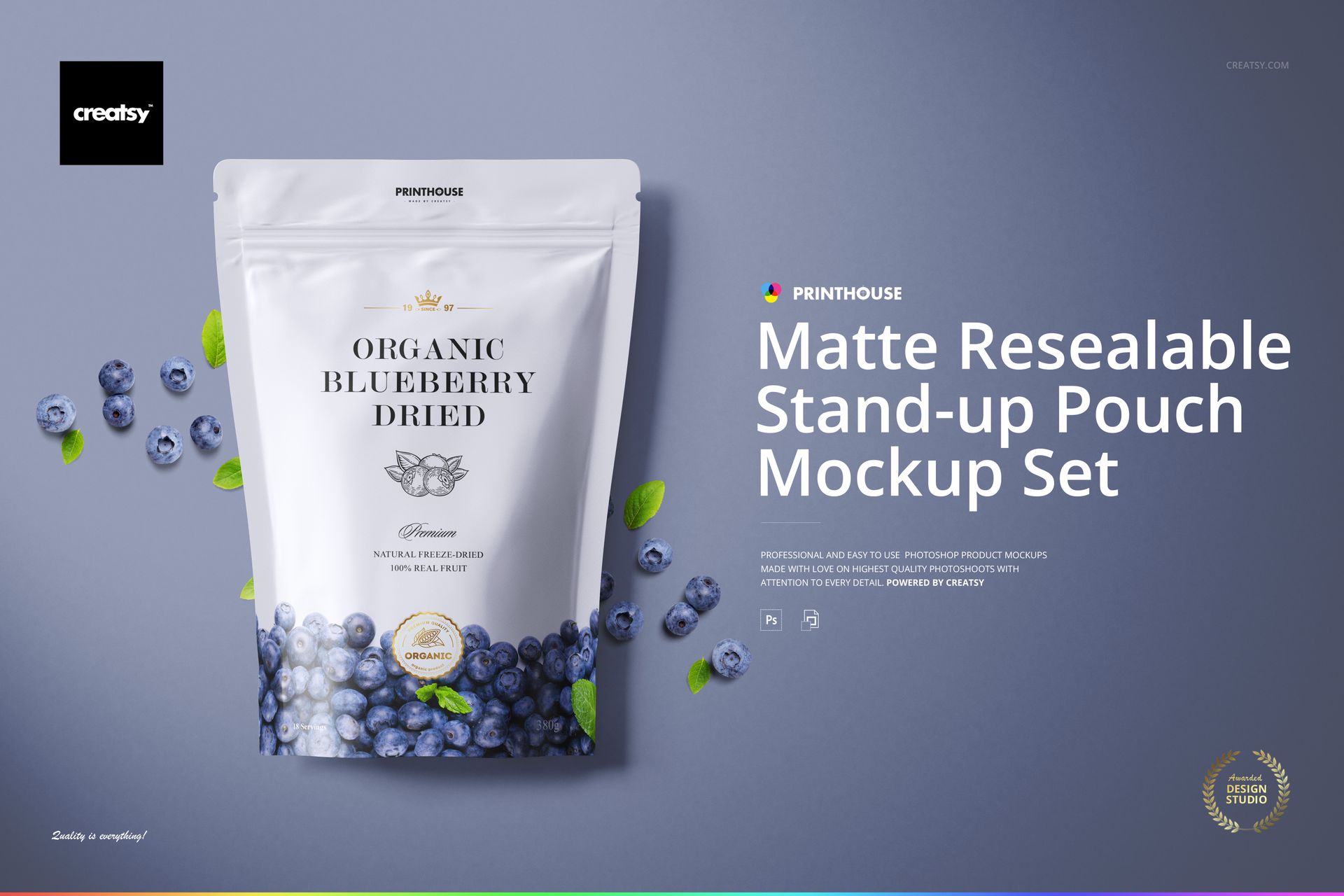 Front view of a matte resealable pouch mockup with blueberry illustrations and clean label on a purple background.