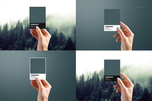 Hand holding a square color swatch card in front of a misty forest, shown in four different mockup scenes with green tones.