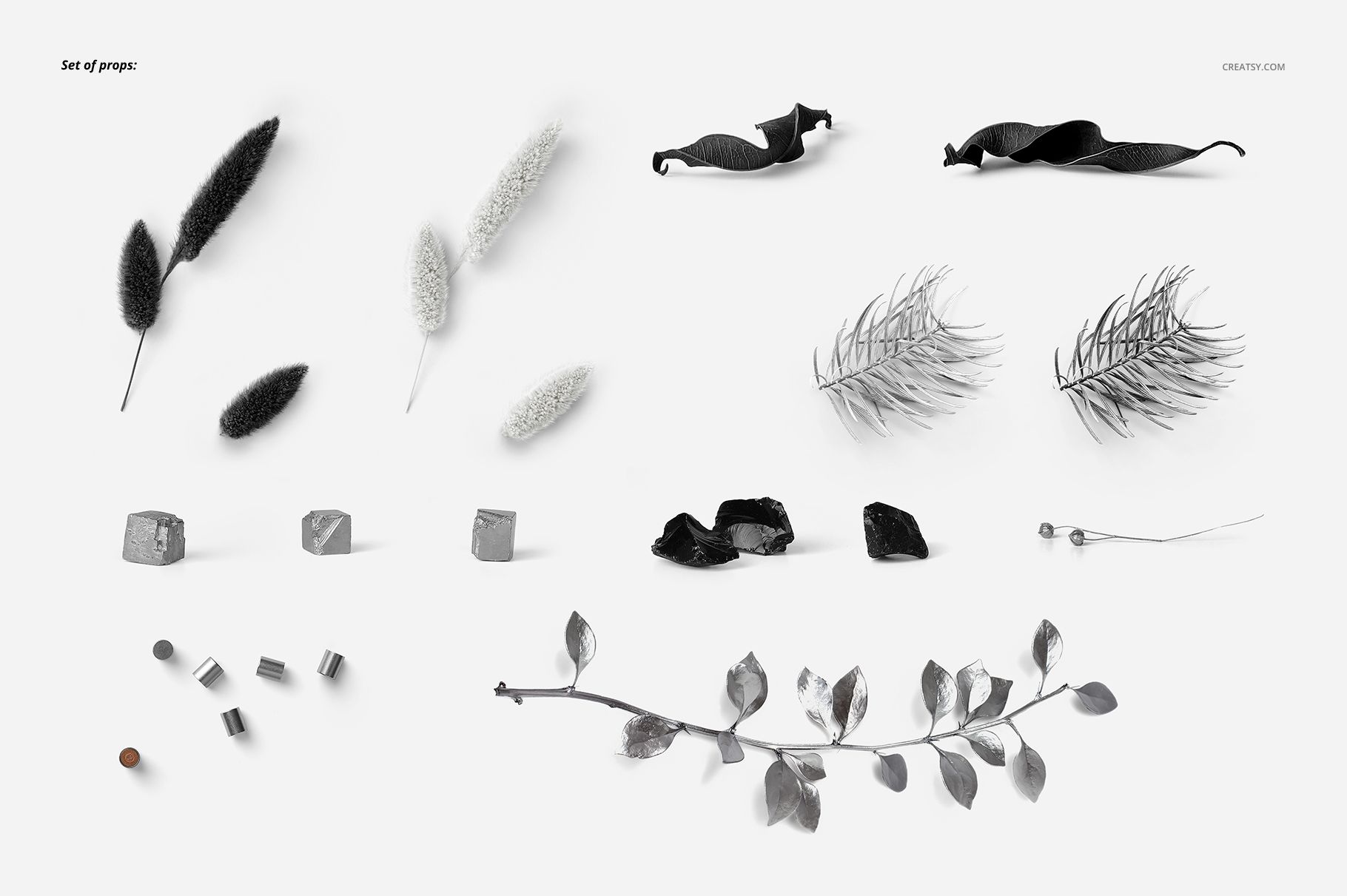 Various plant stems, leaves, and small geometric objects positioned neatly on a light backdrop for mockup presentation.