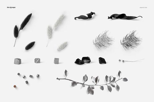 Various plant stems, leaves, and small geometric objects positioned neatly on a light backdrop for mockup presentation.