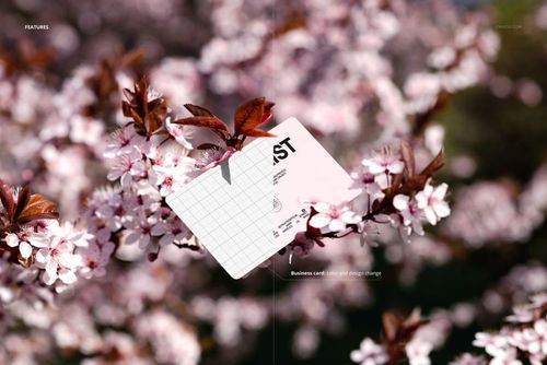 Business card mockup with a grid design displayed on blooming spring tree branches, front view with pink flowers.