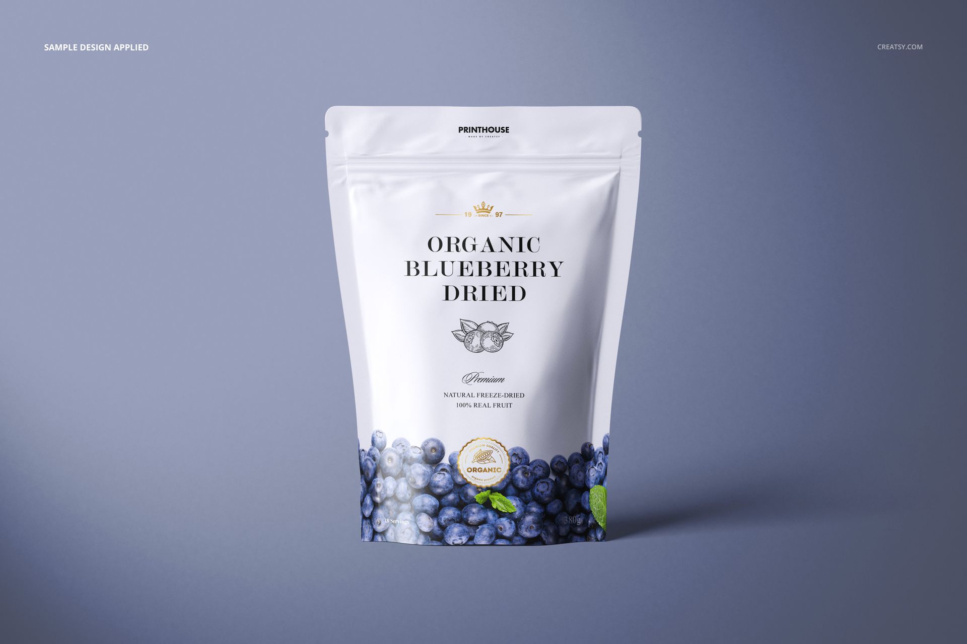 Front view of a matte zip lock pouch mockup featuring a blueberry design, displayed against a plain backdrop.