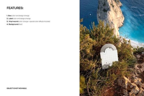 Translucent colored vinyl record mockup with a blank label, placed among coastal bushes overlooking blue water from above.