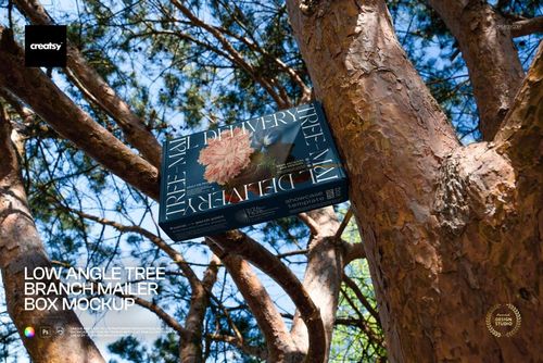 PSD mockup of a mailer box resting on tree limbs, surrounded by natural bark textures and leafy background.