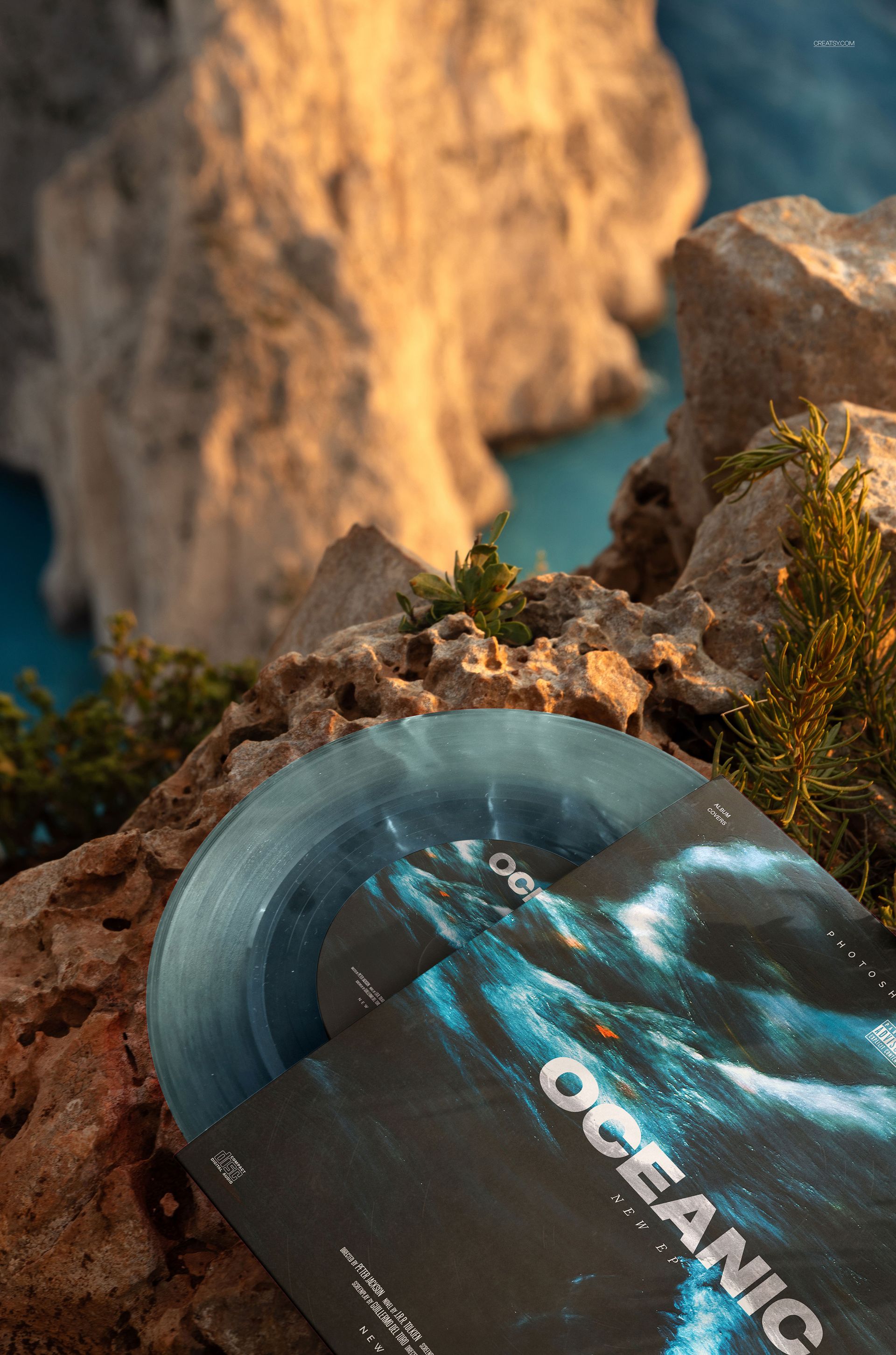 Translucent vinyl record and matching album cover resting on rocky outdoor surface with blurred cliffs in background.