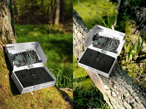 Open mailing box mockup with black and green leafy pattern, displayed outdoors on moss and a fallen tree in a forest.
