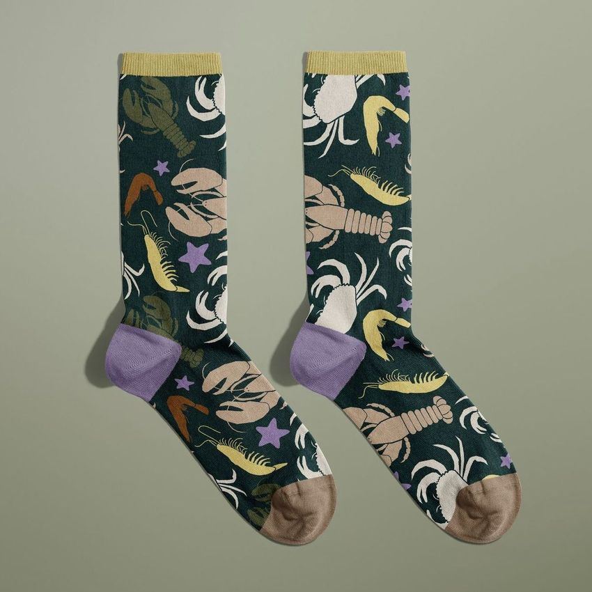 CRUSTACEAN by Liz Mosley - Files in Use example