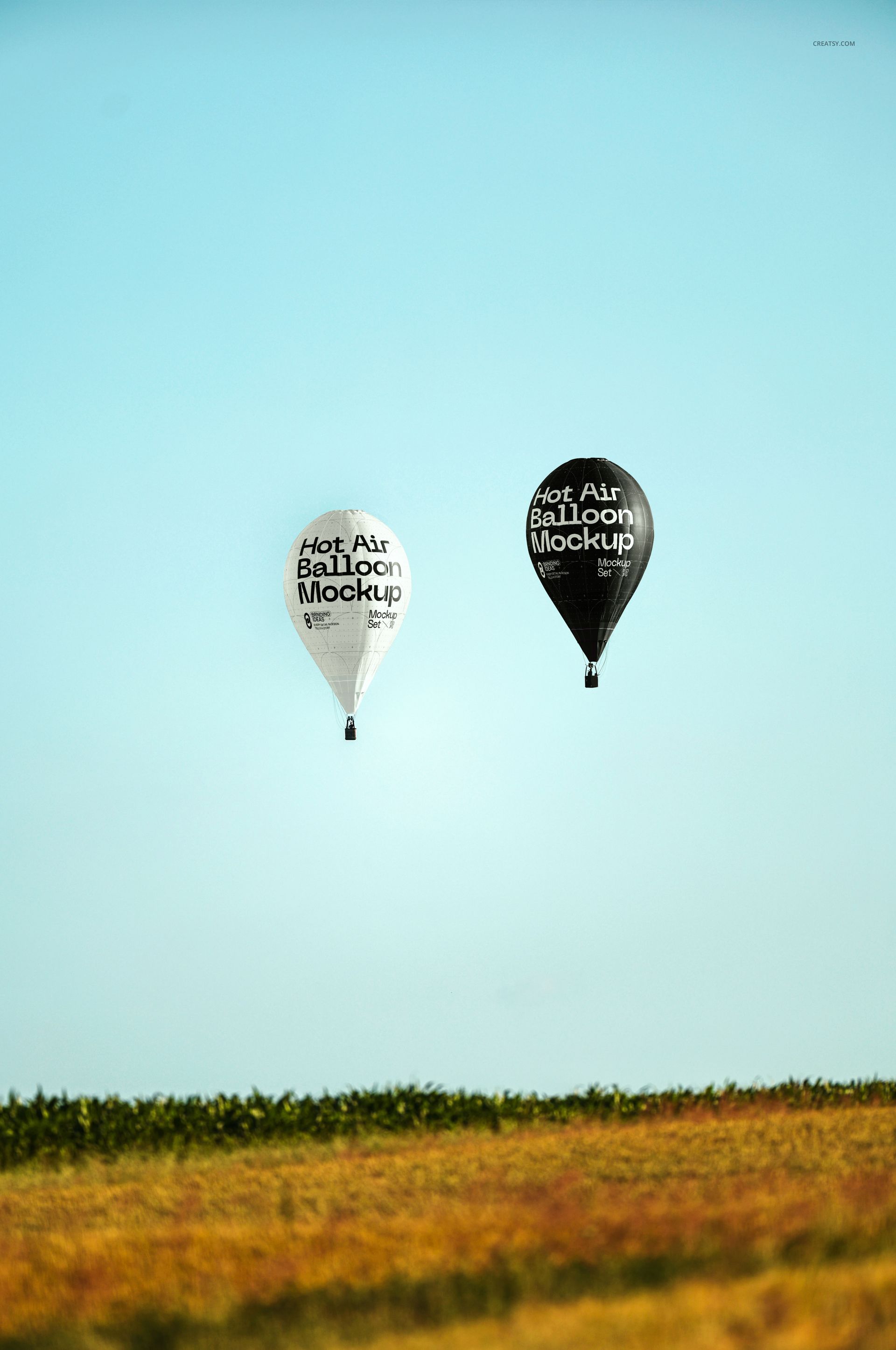 Black and white hot air balloons with mockup text, seen from a distance over a green and yellow landscape.