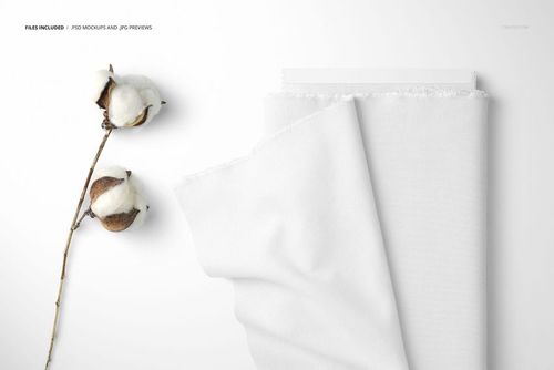 Closeup view of a white cotton fabric bolt mockup with frayed edge, displayed next to cotton plant stems on a white surface.
