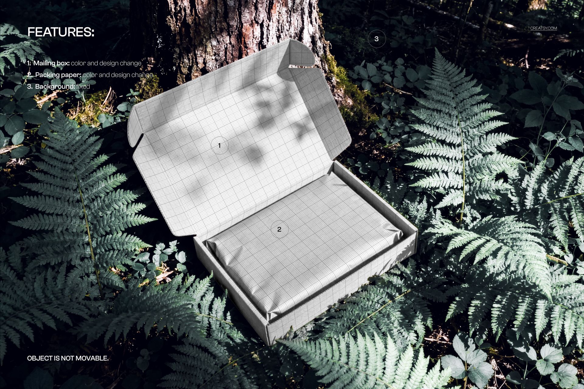 Rectangular mailing box mockup with open lid, showing grid design, surrounded by ferns and forest elements.