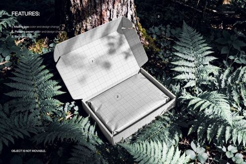Rectangular mailing box mockup with open lid, showing grid design, surrounded by ferns and forest elements.