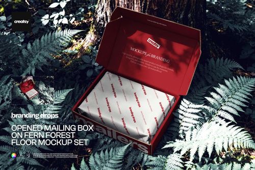 PSD mockup featuring an open rectangular packaging box with branded inner paper, surrounded by forest ferns.