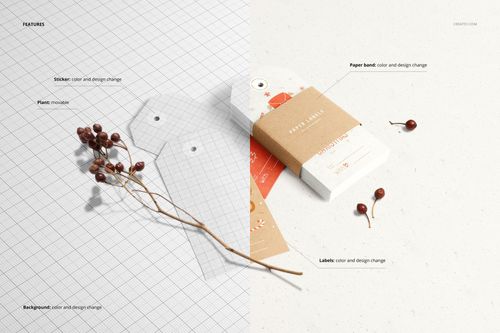 Paper labels mockup set displayed on a split background with grid lines and neutral tones, featuring tags and berries.