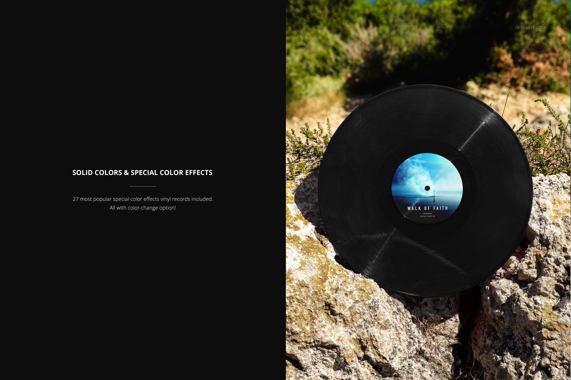 Black vinyl record mockup resting on textured rocks outdoors, with green plants and a clear blue sky in the background.