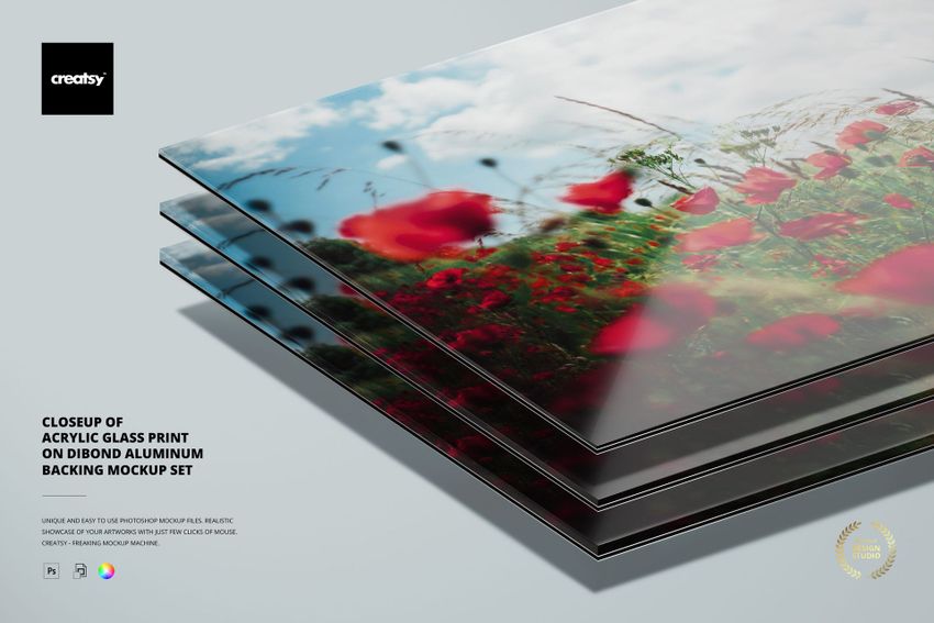 PSD mockup of acrylic glass prints on Dibond aluminum, featuring red flowers and varying glossy and matte surfaces in a close-up.