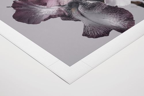 Close-up view of a rolled canvas print mockup featuring a purple and white iris flower design on a textured surface.