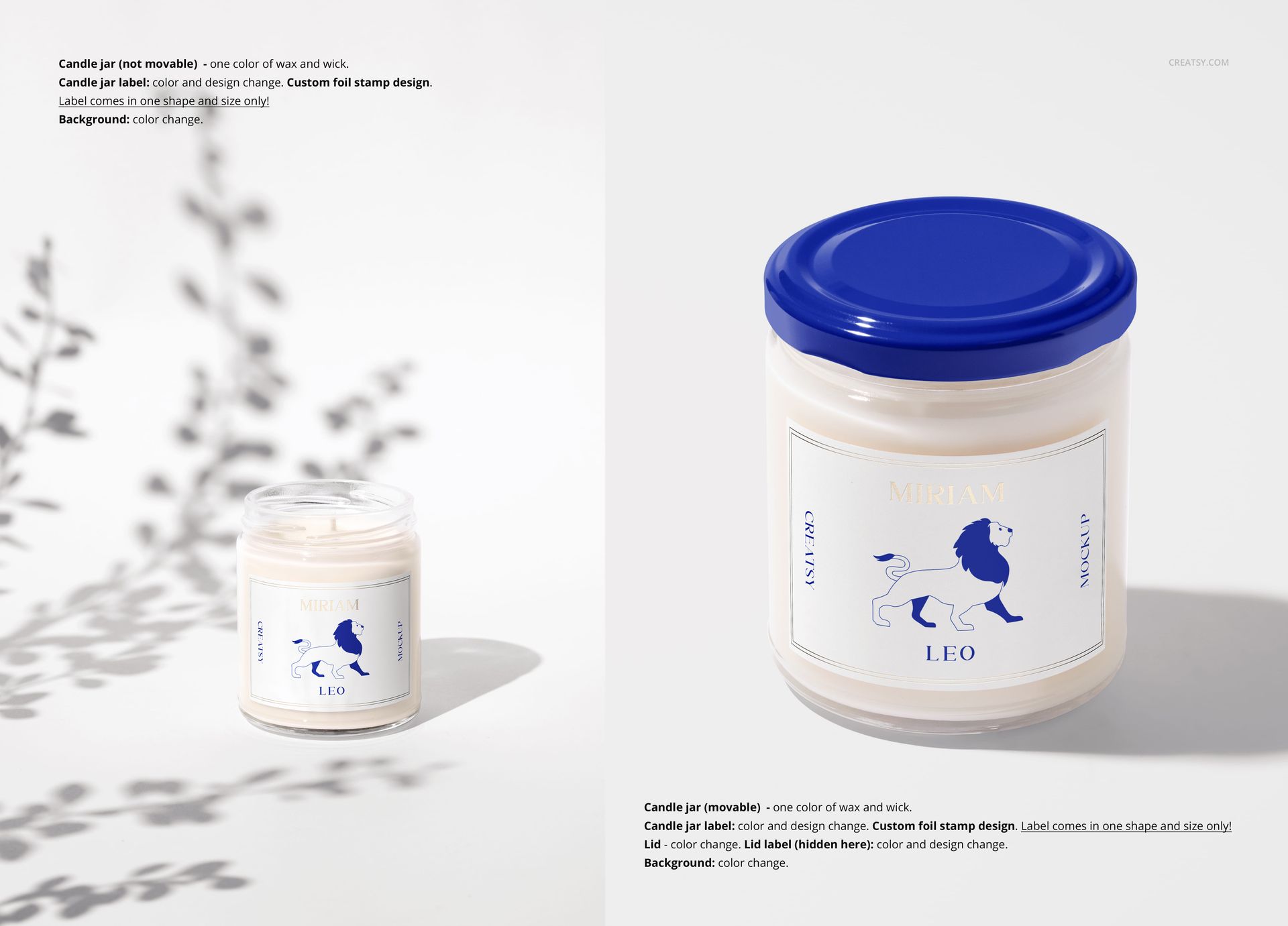 Mockup of a 9oz candle in transparent jar with blue lid, white label, and lion illustration, side and top views.