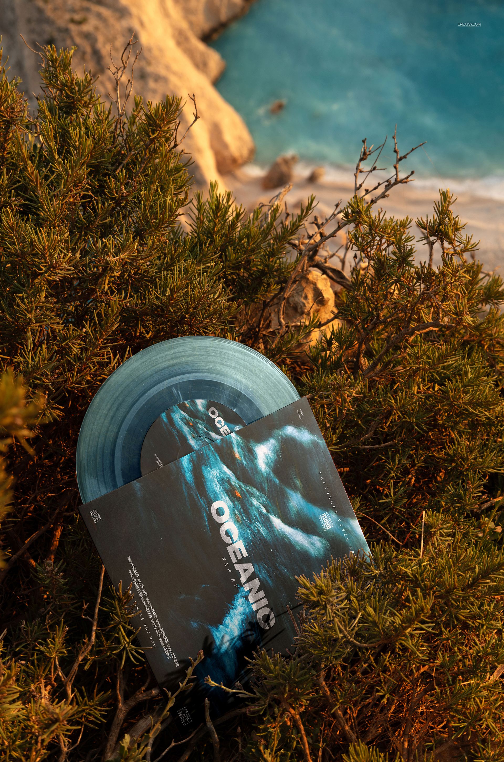 Top view of a translucent blue vinyl record mockup and cover placed on outdoor foliage near a rocky coastline.