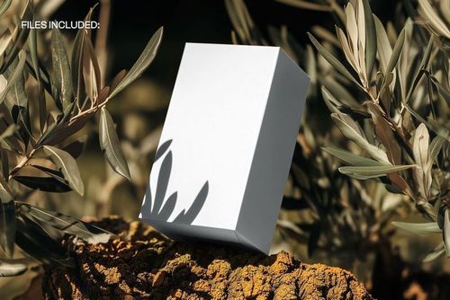 Rectangular product box mockup with a plain white surface, standing upright on a textured natural rock among green leaves.