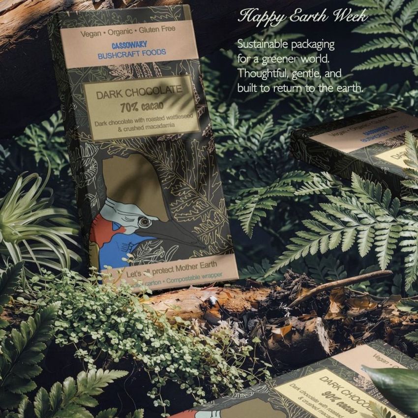 Chocolate box mockup featuring illustrated rainforest-themed packaging, surrounded by lush green ferns and foliage in a natural setting.