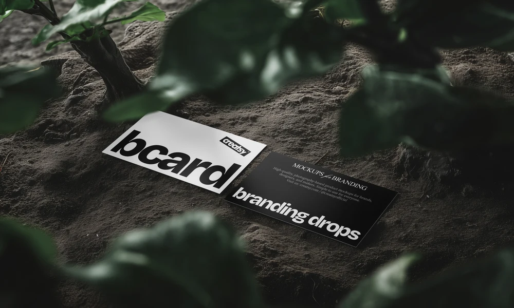 Brand Identity