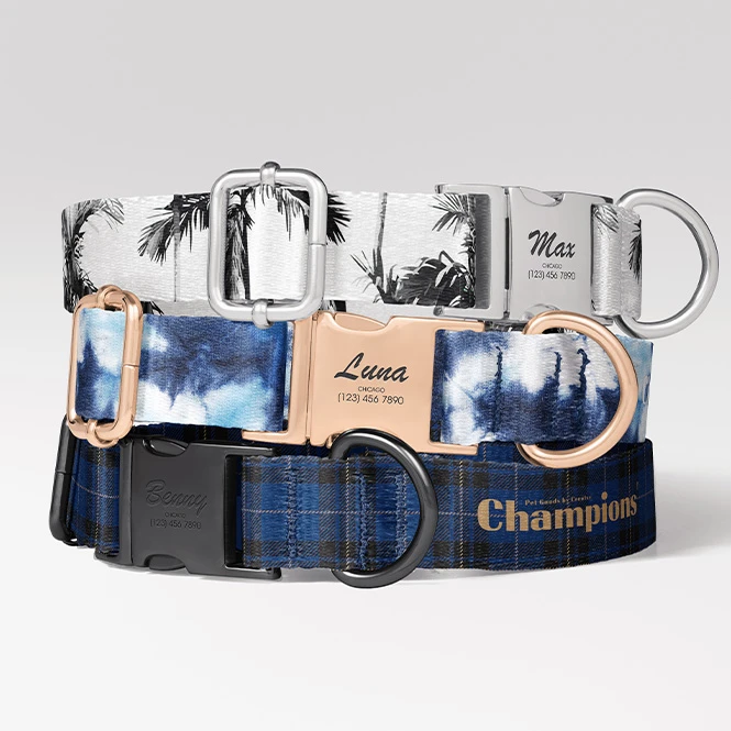 For dog collar & harness brands
