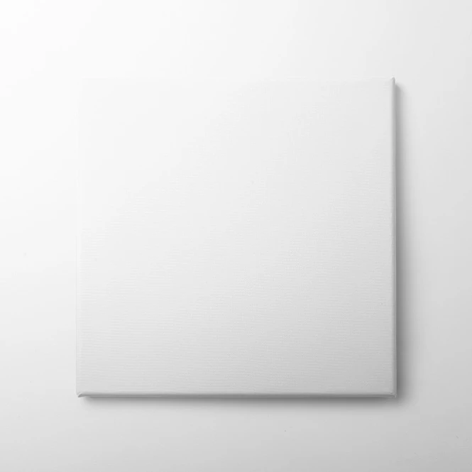 Canvas Prints