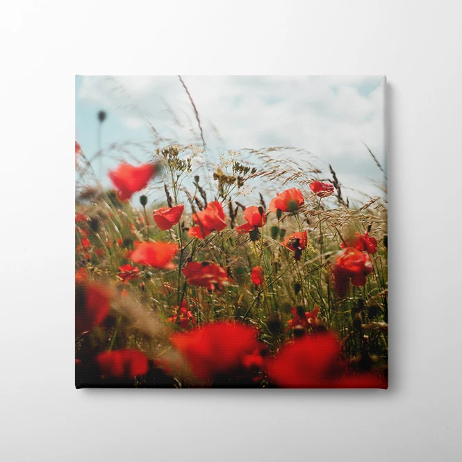 For interior designers, galleries & home decor brands
