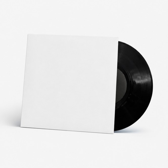 Vinyl Records