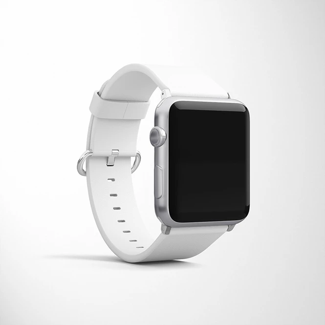 Watch Bands